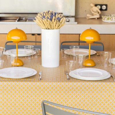 Nappe Plastifié Kaleido