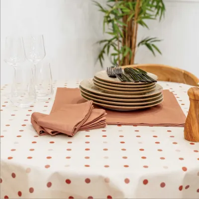 Nappe Plastifié Lorette