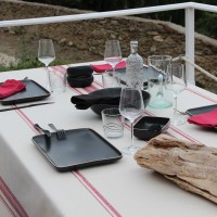 Nappe Coton Prunelle Nappes