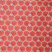 Nappe Plastifié Riad