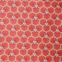 Nappe Plastifié Riad