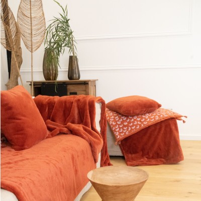 Coussin Delicatesse