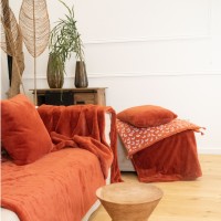 Coussin Delicatesse