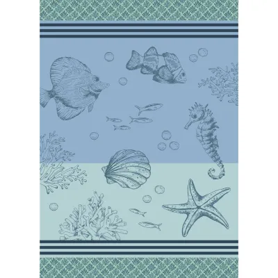 TORCHON ATLANTIQUE 50X70