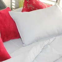 Taie De Traversin Nature