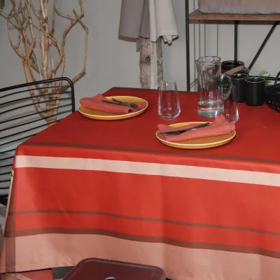 Nappe Plastifié Centuri