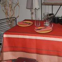 Nappe Plastifié Centuri