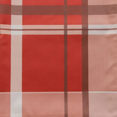 Nappe Plastifié Centuri