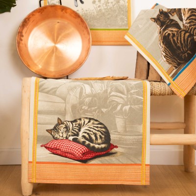 Torchons Cats