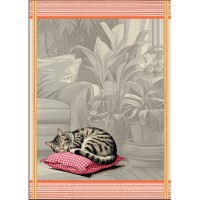 Torchons Cats