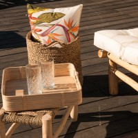 Coussin Extérieur Oiseau De Paradis