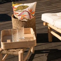 Coussin Extérieur Oiseau De Paradis