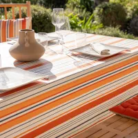 Nappe Plastifié Biscarossenappe