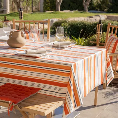 Nappe Plastifié Biscarossenappe