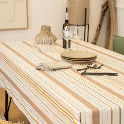 Nappe Plastifié Biscarossenappe