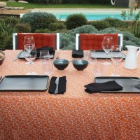 Nappe Plastifié Antibes