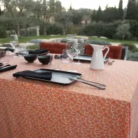 Nappe Plastifié Antibes