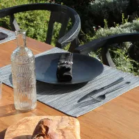 Set De Table Plastic Argent