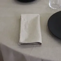 Serviette De Table Aral Lino