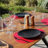 Set De Table Plastic Coquille
