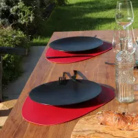 Set De Table Plastic Coquille