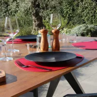 Set De Table Plastic Coquille