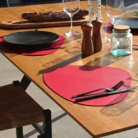 Set De Table Plastic Coquille