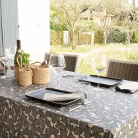 Nappe Plastifié Ginkgo