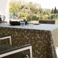 Nappe Plastifié Ginkgo